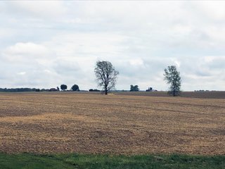 Property photo 5 - FARMLAND AUCTION - 76.15+/- ACRES IN 2 TRACTS IN RANDOLPH COUNTY, INDIANA